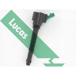 Ritė, uždegimas LUCAS DMB5044