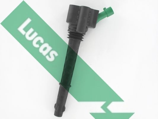 Ritė, uždegimas LUCAS DMB5044