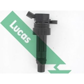 Ritė, uždegimas LUCAS DMB5047