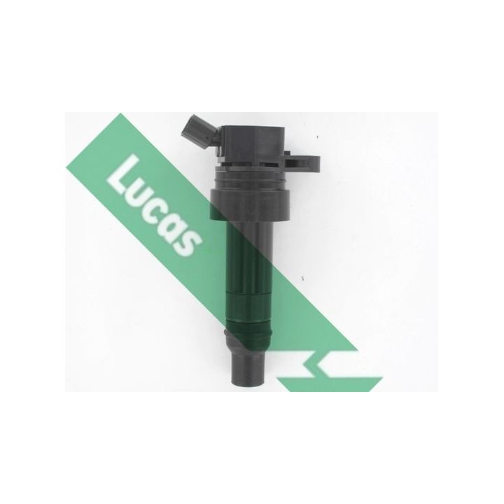 Ritė, uždegimas LUCAS DMB5047