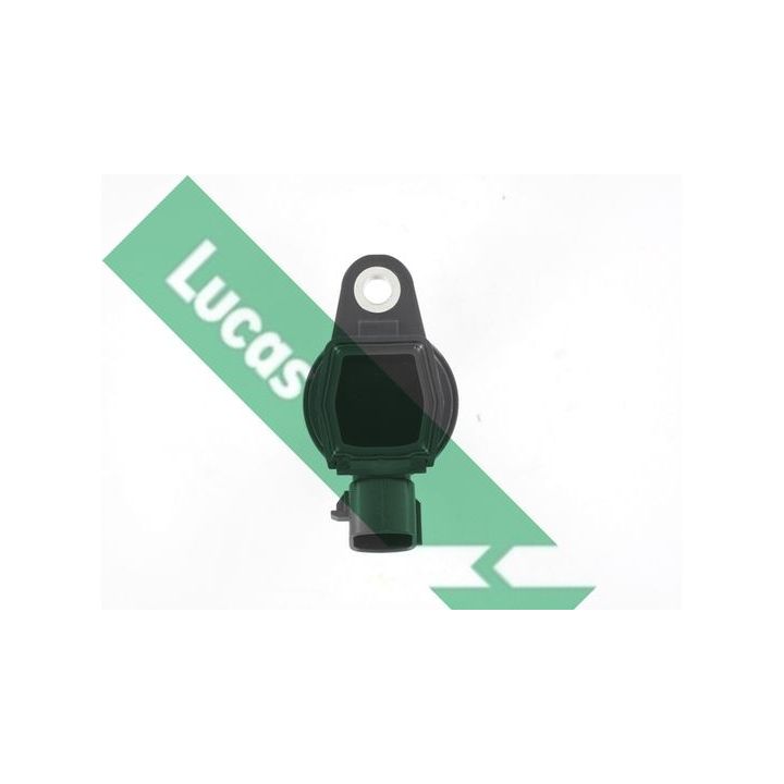 Ritė, uždegimas LUCAS DMB5047