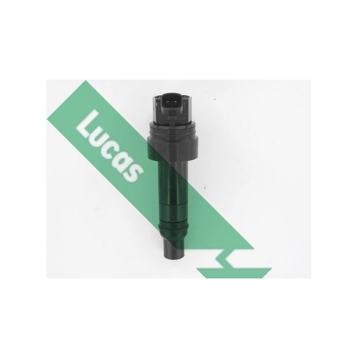 Ritė, uždegimas LUCAS DMB5047