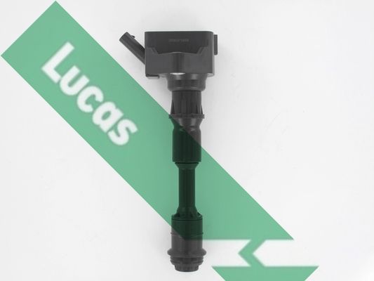 Ritė, uždegimas LUCAS DMB5060