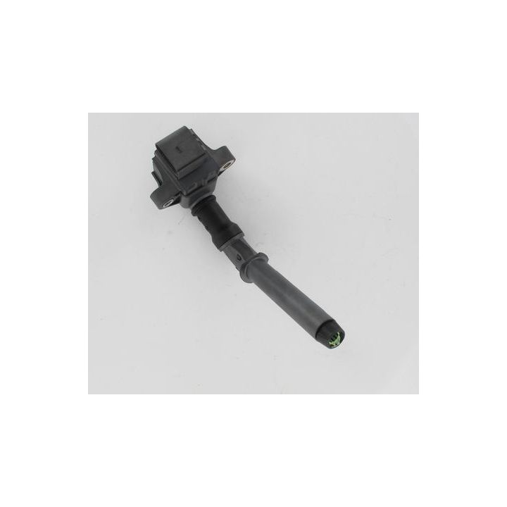 Ritė, uždegimas LUCAS DMB5062