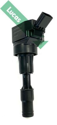 Ritė, uždegimas LUCAS DMB5063