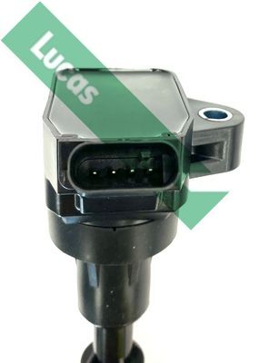 Ritė, uždegimas LUCAS DMB5063