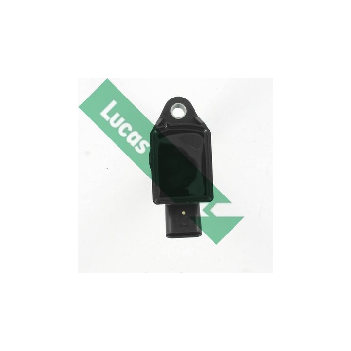 Ritė, uždegimas LUCAS DMB5065