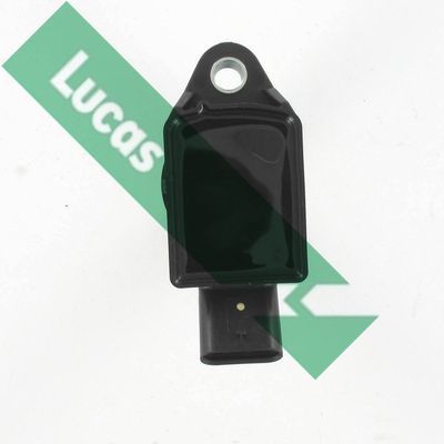 Ritė, uždegimas LUCAS DMB5065