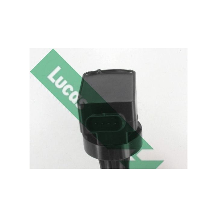 Ritė, uždegimas LUCAS DMB5065