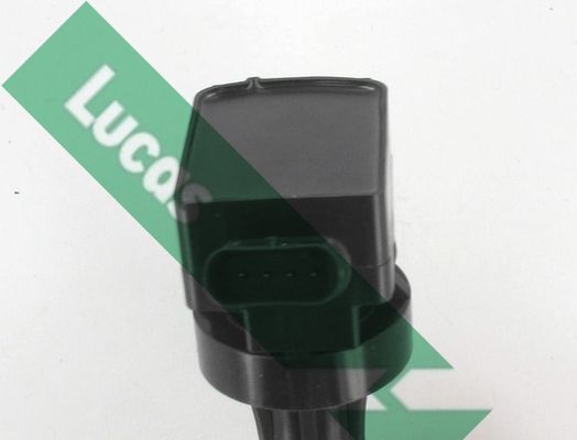 Ritė, uždegimas LUCAS DMB5065