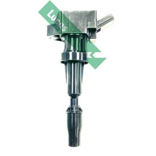 Ritė, uždegimas LUCAS DMB5069