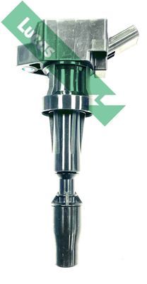 Ritė, uždegimas LUCAS DMB5069