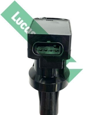 Ritė, uždegimas LUCAS DMB5069