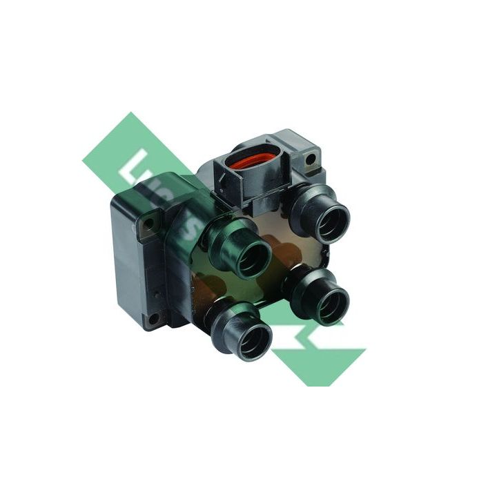 Ritė, uždegimas LUCAS DMB753