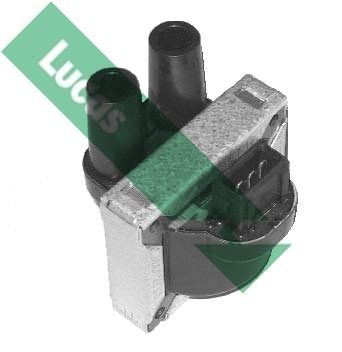 Ritė, uždegimas LUCAS DMB801