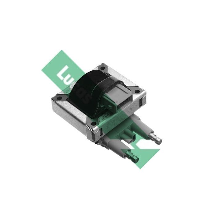 Ritė, uždegimas LUCAS DMB803