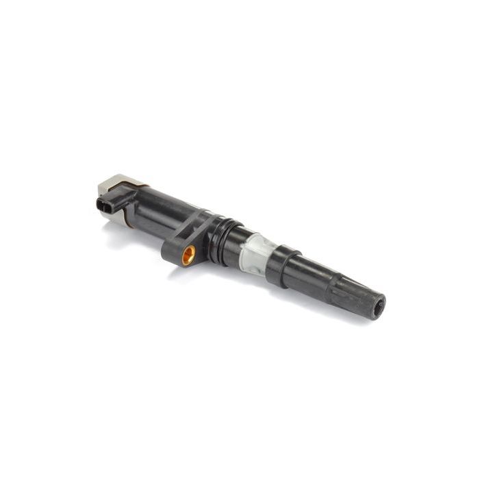 Ritė, uždegimas LUCAS DMB804