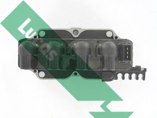 Ritė, uždegimas LUCAS DMB811