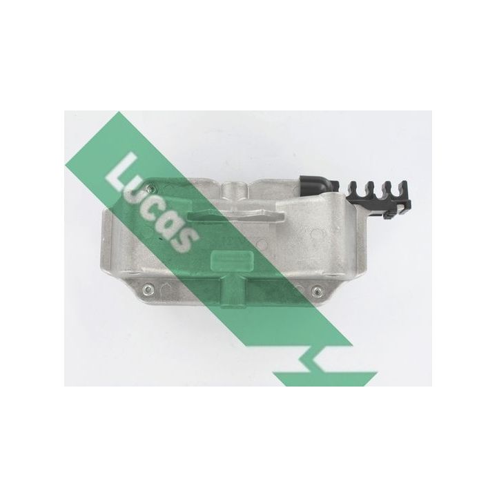 Ritė, uždegimas LUCAS DMB811