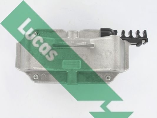 Ritė, uždegimas LUCAS DMB811