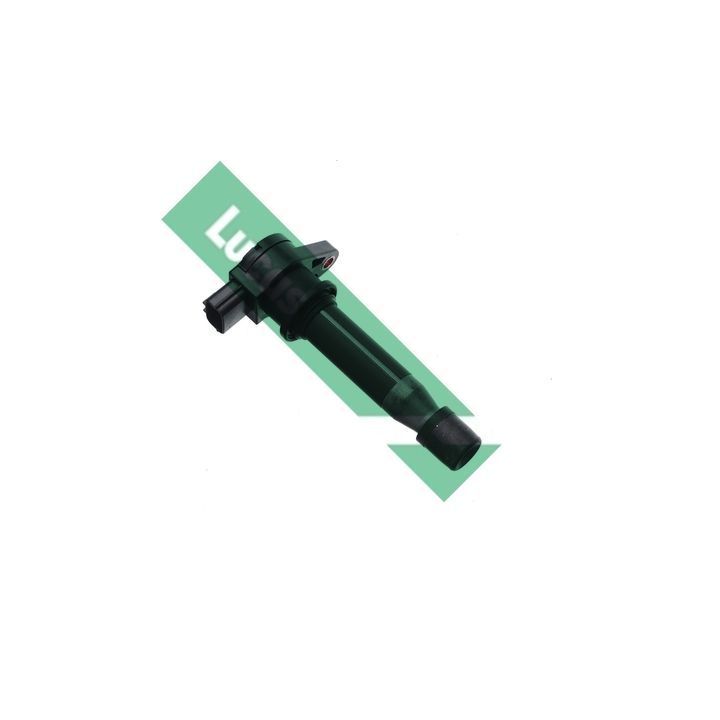 Ritė, uždegimas LUCAS DMB819