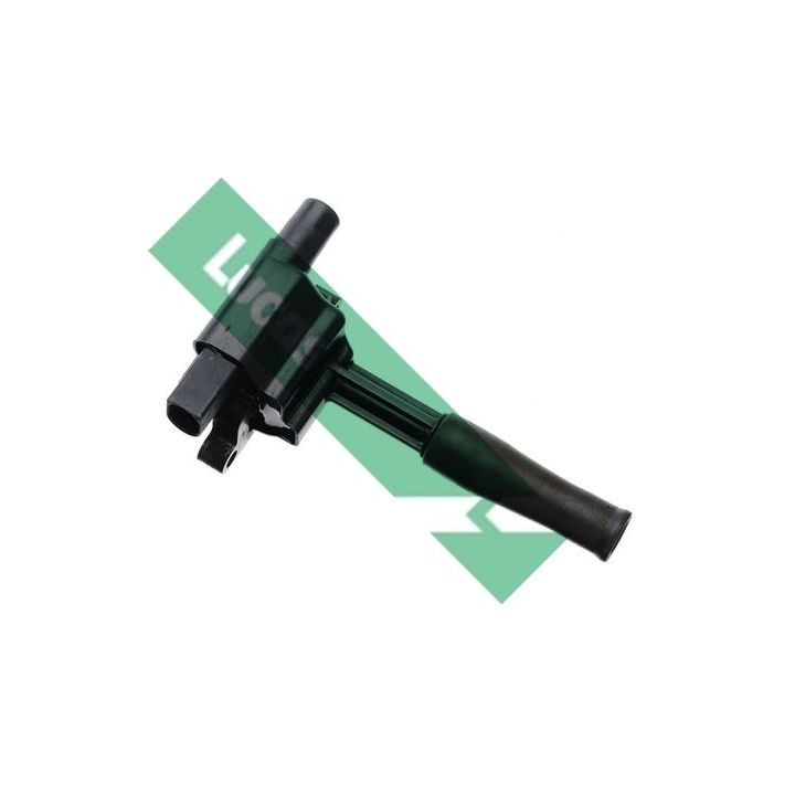 Ritė, uždegimas LUCAS DMB821