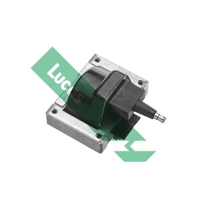 Ritė, uždegimas LUCAS DMB823