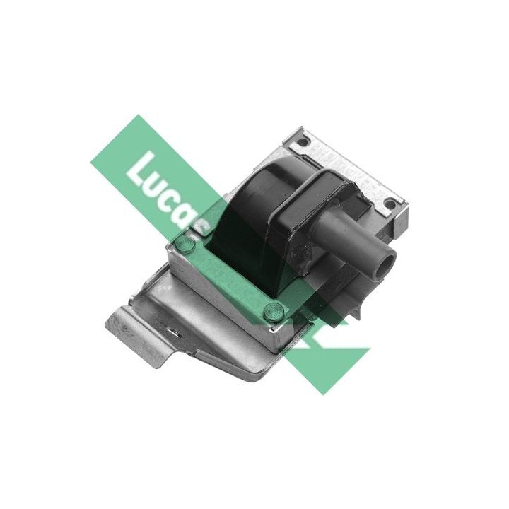 Ritė, uždegimas LUCAS DMB843