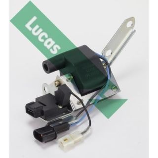 Ritė, uždegimas LUCAS DMB846
