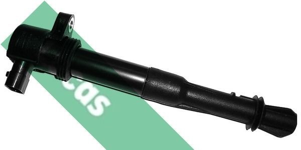 Ritė, uždegimas LUCAS DMB858