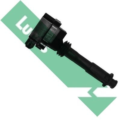 Ritė, uždegimas LUCAS DMB863