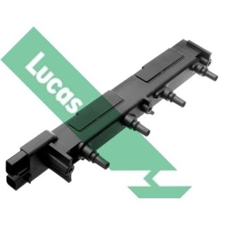 Ritė, uždegimas LUCAS DMB866