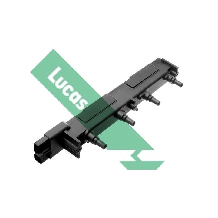 Ritė, uždegimas LUCAS DMB866