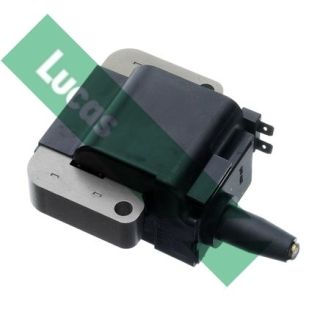 Ritė, uždegimas LUCAS DMB876