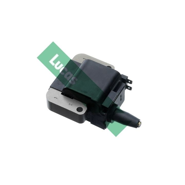 Ritė, uždegimas LUCAS DMB876