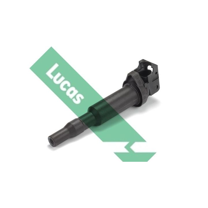 Ritė, uždegimas LUCAS DMB877