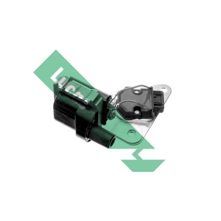 Ritė, uždegimas LUCAS DMB892