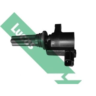 Ritė, uždegimas LUCAS DMB893