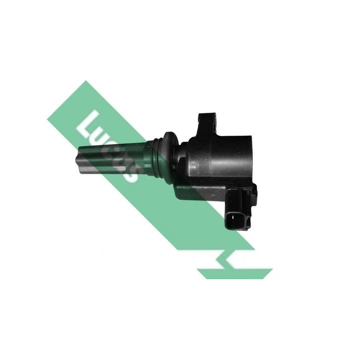 Ritė, uždegimas LUCAS DMB893