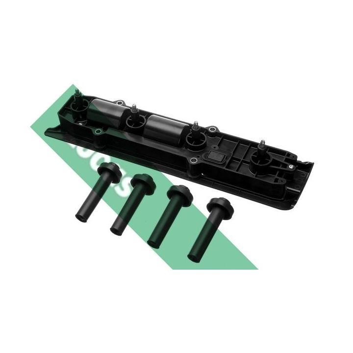 Ritė, uždegimas LUCAS DMB896