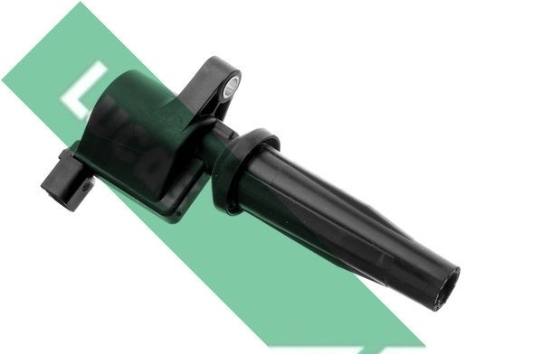 Ritė, uždegimas LUCAS DMB899