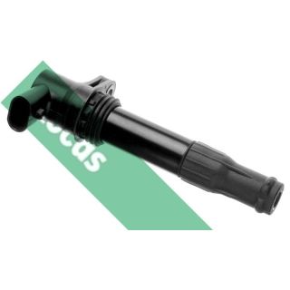 Ritė, uždegimas LUCAS DMB901