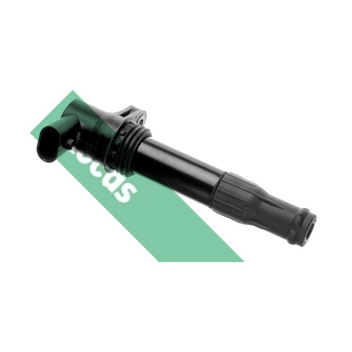 Ritė, uždegimas LUCAS DMB901