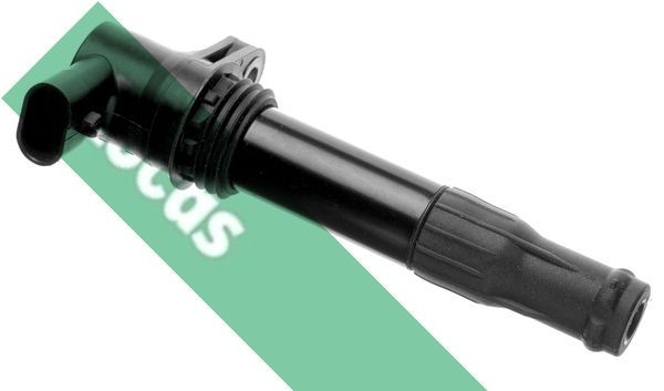 Ritė, uždegimas LUCAS DMB901