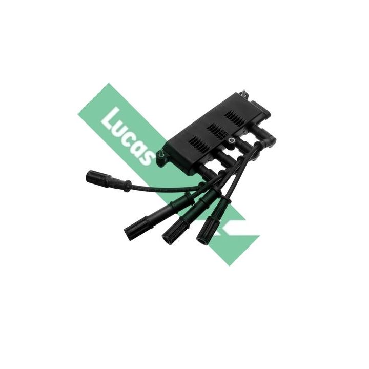 Ritė, uždegimas LUCAS DMB911