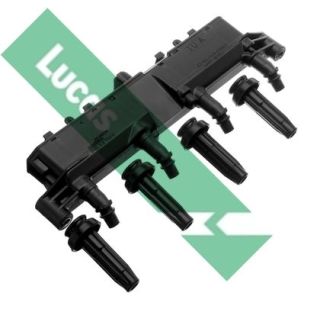 Ritė, uždegimas LUCAS DMB916