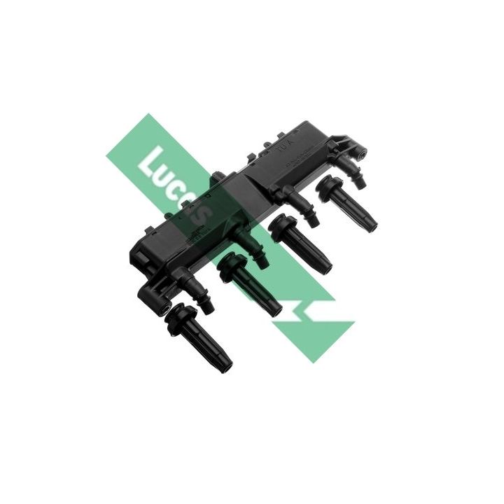 Ritė, uždegimas LUCAS DMB916