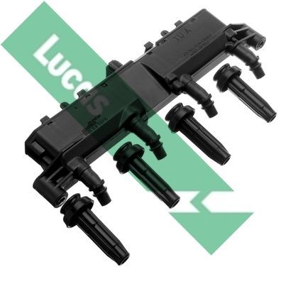 Ritė, uždegimas LUCAS DMB916