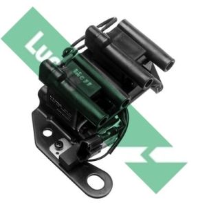 Ritė, uždegimas LUCAS DMB934