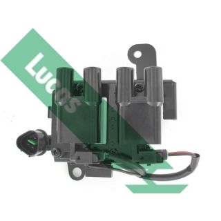 Ritė, uždegimas LUCAS DMB935